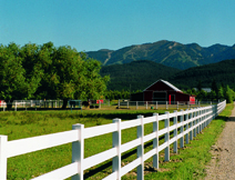 Vinyl Ranch Fence