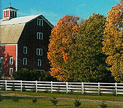 Vinyl Ranch Fence