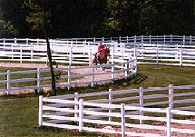 4-Rail Vinyl Ranch Fence